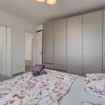 Apartman 3 Bedroom Cozy In *